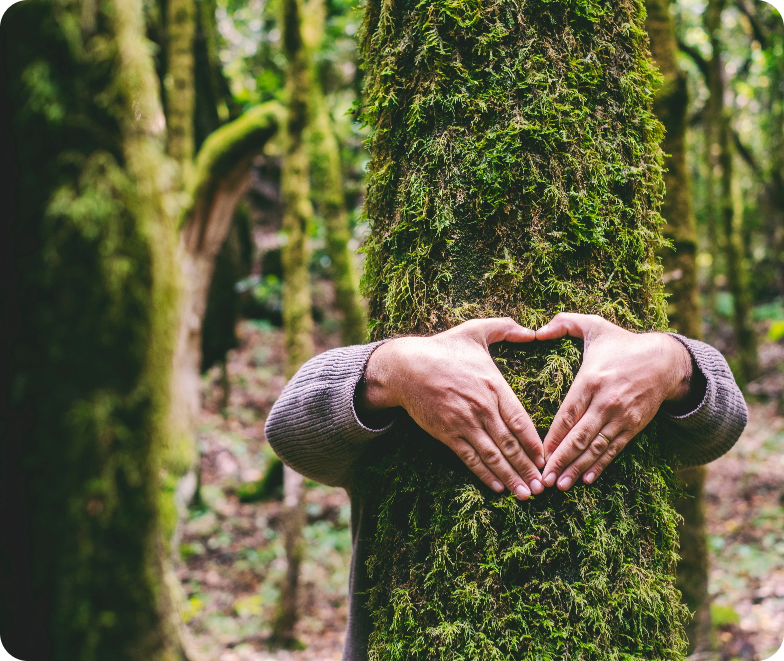 Person embracing a moss-covered tree in a forest, forming a heart shape with their hands