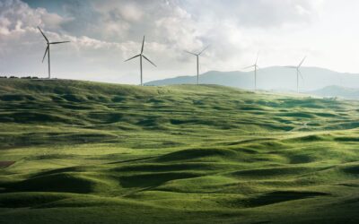 Retaining the Credibility of ESG & Green Labels