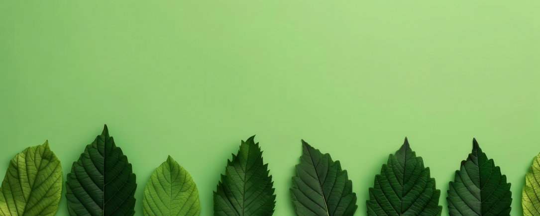 A row of green leaves with varying shades and patterns arranged in a gradient from light to dark on a pale green background.